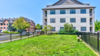Fenced-in pet park with a bench, green lawn, and walking path surrounded by apartment buildings and landscaped trees.