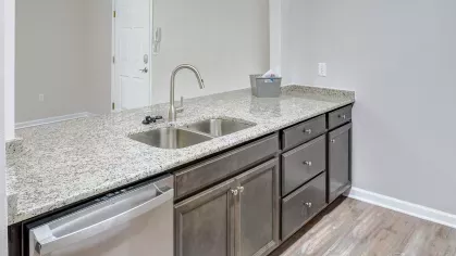 Close-up view of granite kitchen counter with double sink, stainless steel dishwasher, and sleek cabinetry in updated apartment.
