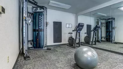 Modern fitness center equipped with resistance training machines, stationary bikes, full-wall mirrors, and a yoga ball on patterned carpeting.