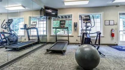 Modern fitness center featuring treadmills, elliptical machines, a mounted TV, full-wall mirror, and stability ball, all surrounded by large windows with natural light.