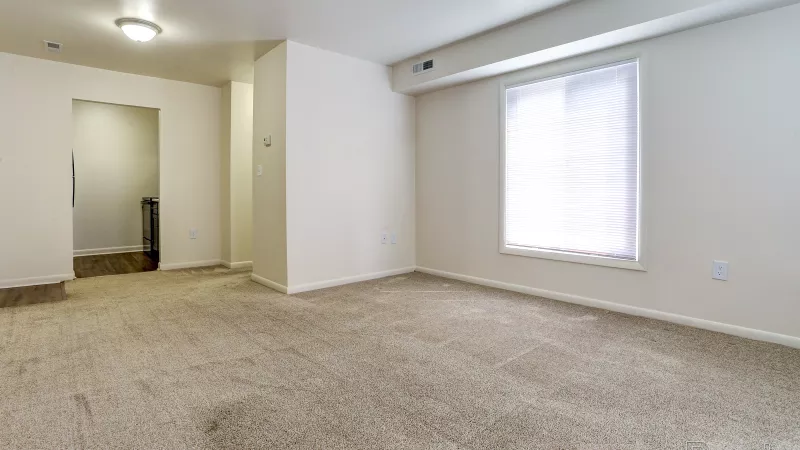 Large, empty carpeted living room in a renovated Rosedale apartment, featuring a bright window with blinds and an entryway to another room.