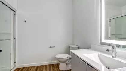 Modern bathroom at Stadium Row with a walk-in shower, sleek vanity with illuminated mirror, and wood-style flooring.