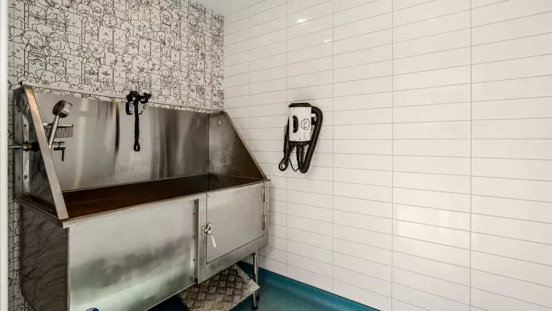 tainless steel pet washing station with handheld sprayer and built-in dryer, surrounded by white tile walls and playful dog-themed wallpaper.