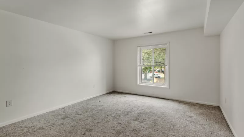 Spacious living room at Rosedale Apartments with carpet flooring, bright window light, and neutral wall finishes
