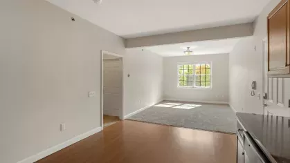 Open-concept layout showing kitchen leading into living room with carpeted flooring and a large window.