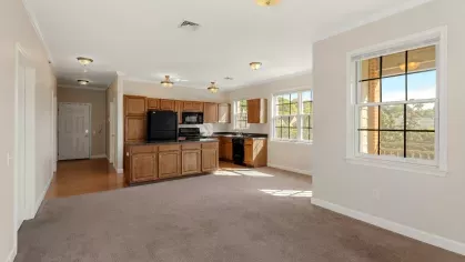 Living room and kitchen space with multiple windows, carpet flooring, and wood cabinetry.