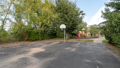 Outdoor basketball court beside a playground area, surrounded by tall trees and paved walking paths.