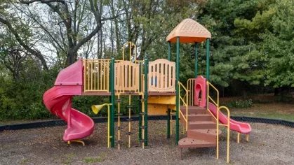 Children’s playground with multiple slides, climbing structures, and safety surfacing, surrounded by trees.