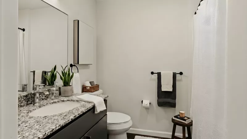 Modern bathroom with dark vanity, speckled granite counter, white sink, mirror, toilet, shower with white curtain, and plant.