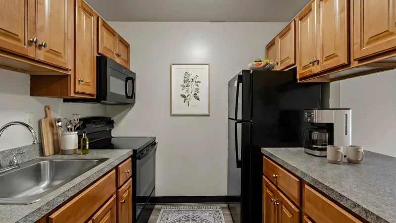 Bright galley kitchen with light wood cabinets, gray granite countertops, black appliances, and a botanical print.
