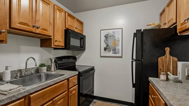 Kitchen with light wood cabinets, gray counters, black appliances, and a stainless steel sink. Abstract art on the wall.