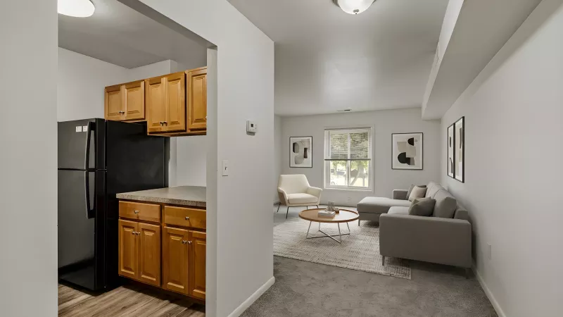 Kitchen with light wood cabinets and black fridge; adjacent living room with gray sofa, cream armchair, and window light.