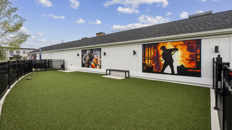 Turf dog park by a white building with two large, vibrant murals