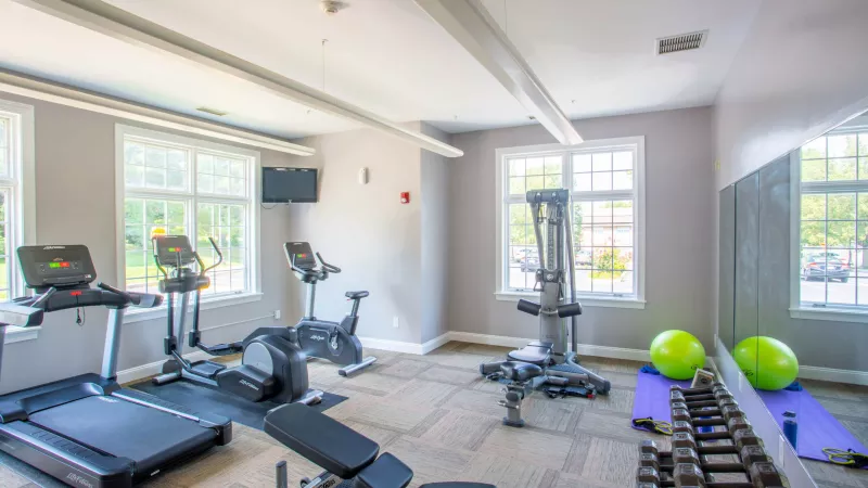 Modern apartment gym featuring treadmills, exercise bikes, a weight bench, dumbbells, and two green stability balls.