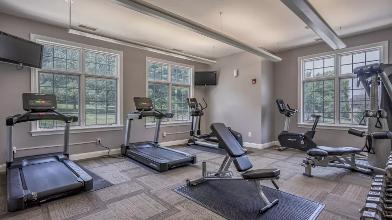 Well-equipped gym with treadmills, ellipticals, stationary bike, weight bench, and free weights by large windows.