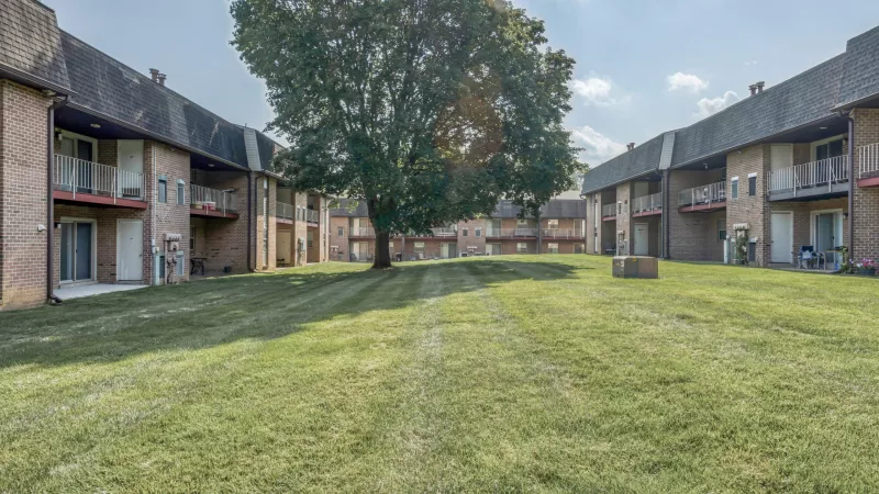 Grassy courtyard with a large tree, surrounded by multi-story brick apartment buildings with balconies under a blue sky.