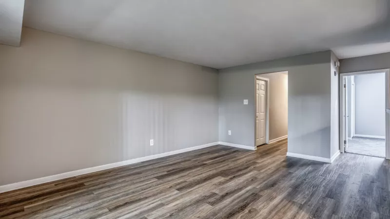 Empty living room with light gray walls, wood-look plank flooring, and two open doorways.