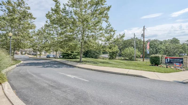 Asphalt road curves left, lined with green trees. Red and black business sign on right. Bright sunny day.