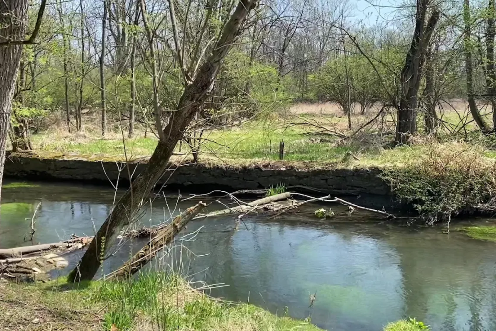 Scenic wooded walking trail along a peaceful creek at Keystone Arms Apartments in Carlisle, PA, offering a natural retreat with shaded paths and lush greenery.