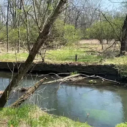 Scenic wooded walking trail along a peaceful creek at Keystone Arms Apartments in Carlisle, PA, offering a natural retreat with shaded paths and lush greenery.