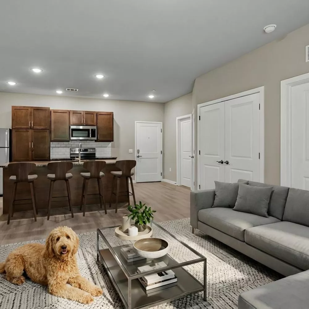 A fluffy golden doodle dog rests on a rug in a modern open-plan living room and kitchen area.