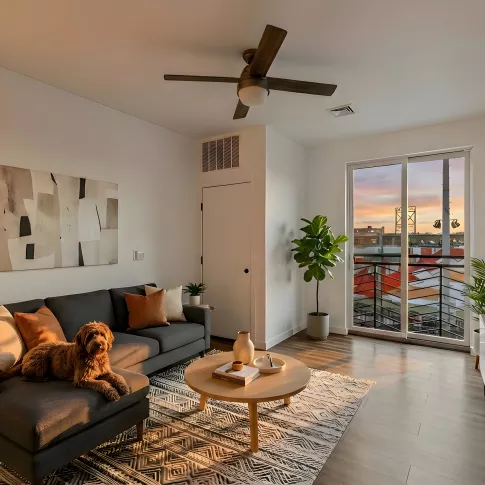 Interior view of a spacious, modern living room at sunset. The room features contemporary furniture, hardwood-style flooring, and a large balcony door. A dog sits on the couch, showcasing pet-friendly living.