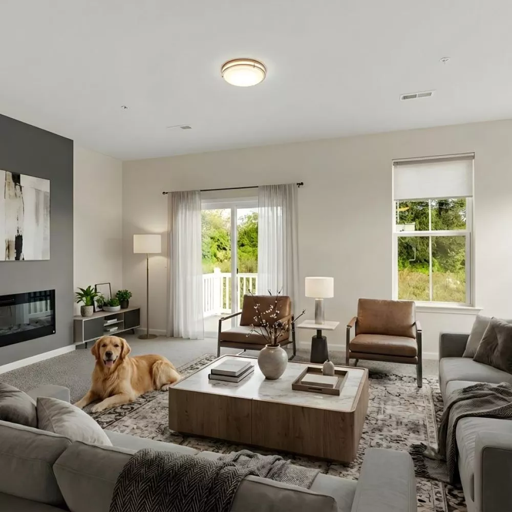 Modern living room with a gray sectional, fireplace on an accent wall, and a golden retriever relaxing on an area rug.