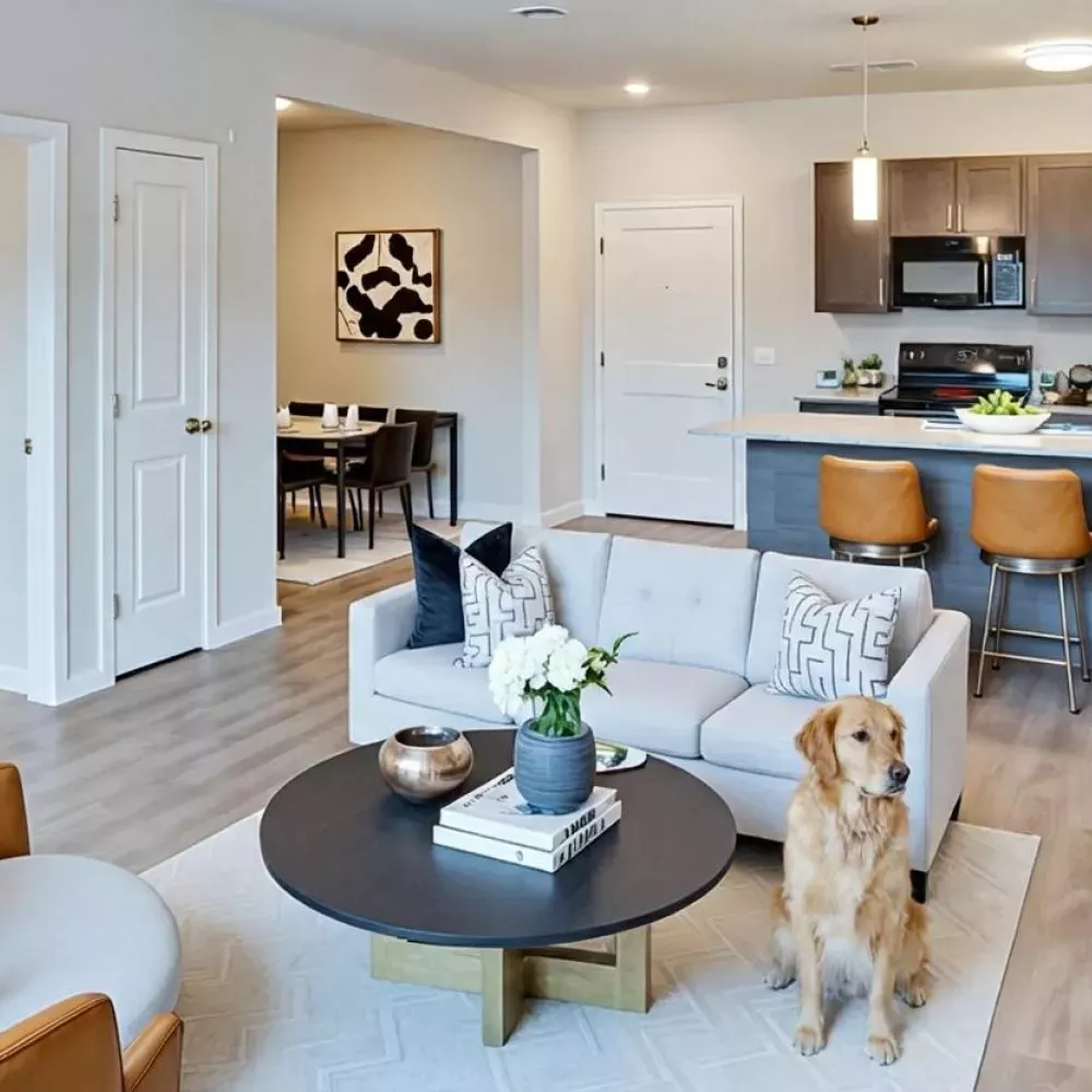 Modern open-concept apartment with a golden retriever in the living room, a kitchen with a breakfast bar, and a bathroom visible.