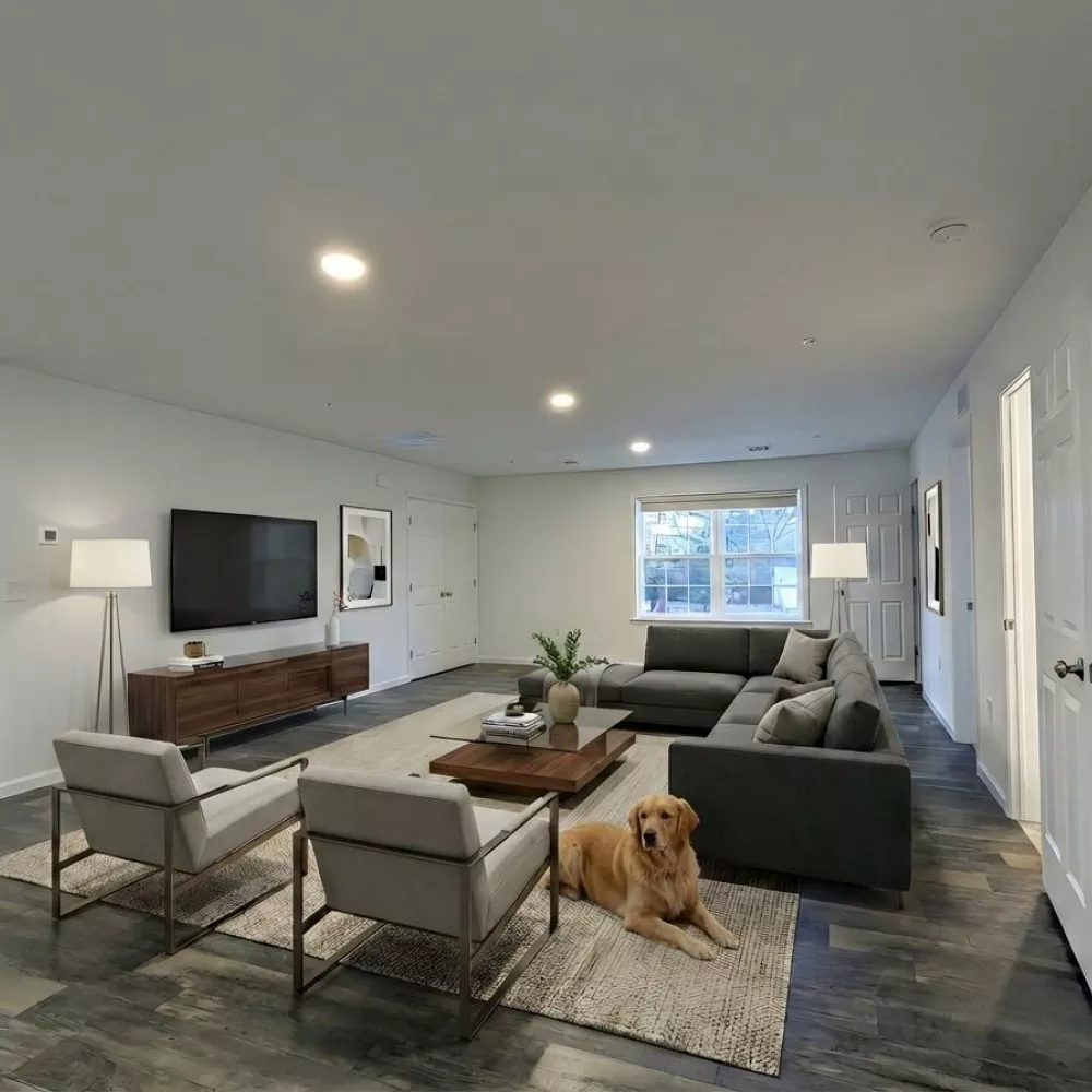 A golden retriever dog lies on a rug in a modern living room with a grey sectional sofa, two armchairs, and a wall-mounted TV.