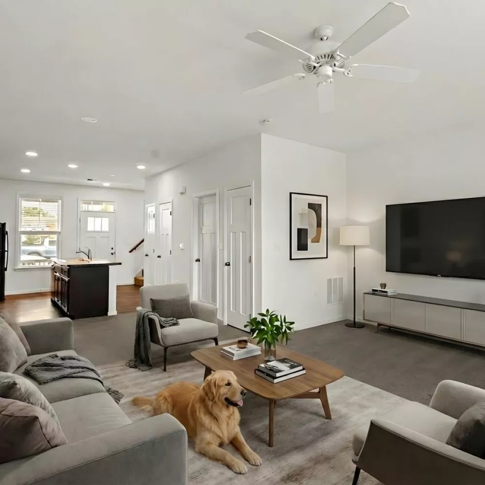 Bright, modern living room with a golden retriever lying on a rug, gray sofa, and wall-mounted TV.
