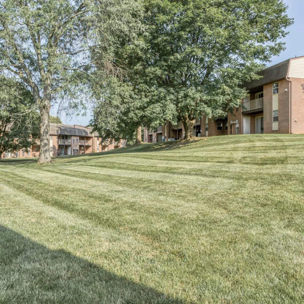 Expansive green lawn sloping towards brick apartment buildings under a clear sky, with several large trees.