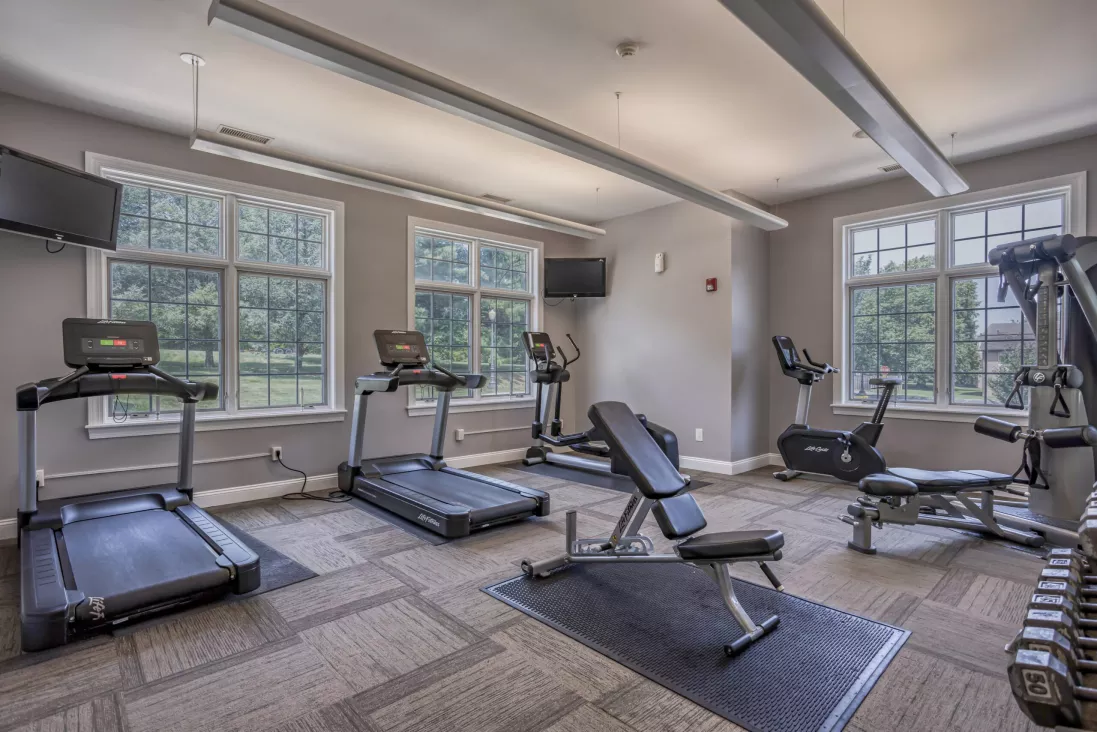 Well-equipped gym with treadmills, ellipticals, stationary bike, weight bench, and free weights by large windows.